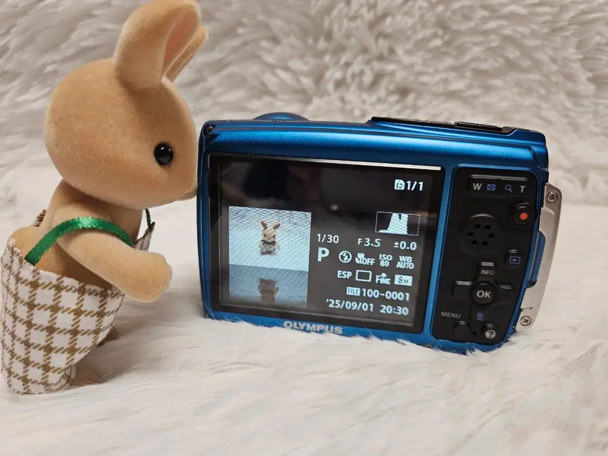 thumbnail-6